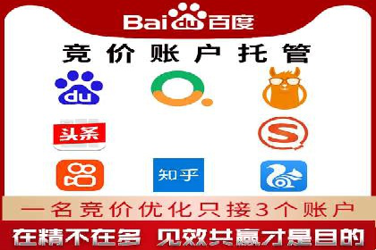 某行业领军企业的SEM广告投放策略